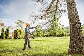 Best Tree Mulching Services  in Wilkes Barre, PA