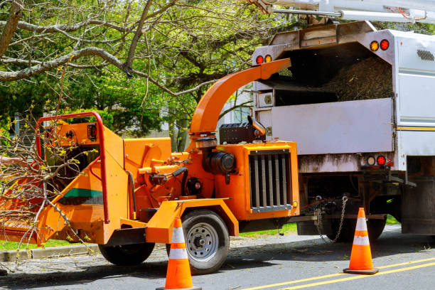 Lawn Drainage Solutions in Wilkes Barre, PA